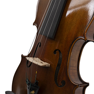 ANTON BRUCKNER V.MAESTRO EV-2 Keman